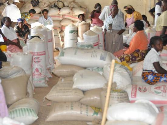 Farmers selling rice at a market in Kenya. The director-general of Food and Agriculture Organization (FAO) on Thursday raised concerns that the fertilizer trade disruptions caused by the war and disruption in the Strait of Hormuz will lead to lower global crop production later this year and into 2027. (DTN file photo by Chris Clayton)
