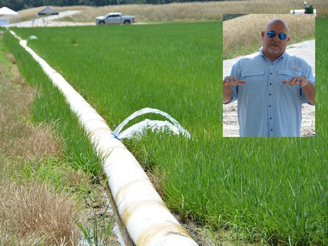 Scott Matthews, a rice farmer in Poinsett County, Arkansas, has used sensors and levees as tools to help cut his irrigation demands in half. The farm also now has a reservoir to use instead of tapping groundwater. (DTN photos by Chris Clayton) 