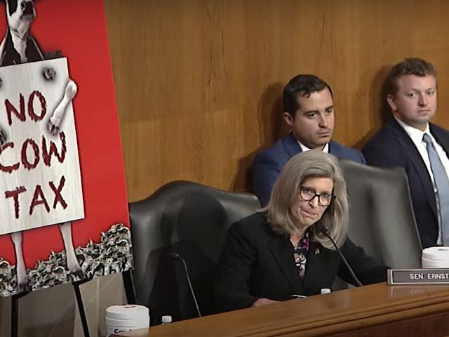U.S. Sen. Joni Ernst, R-Iowa, asks a question about livestock regulations during a Senate Environment and Public Works hearing Wednesday on a bill that would exempt livestock from regulations related to greenhouse emissions. (DTN screenshot from hearing livestream)