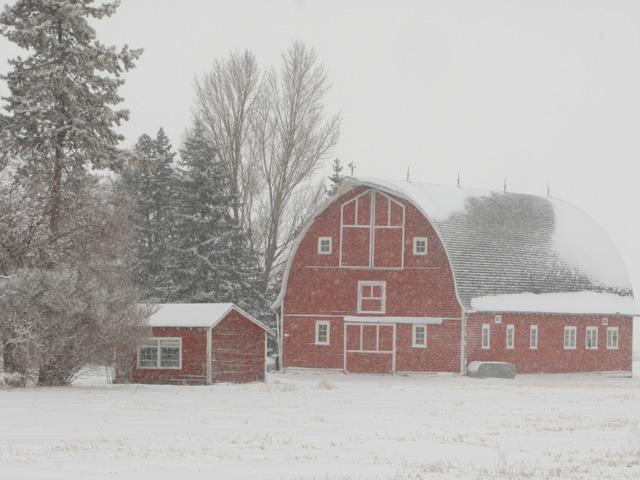 While much of the country faced winter storm conditions Thursday, Congress pushed ahead to pass a key spending bill to keep the federal government operating through the end of the fiscal year. The bill includes disaster-aid provisions for farmers and livestock producers who suffered losses in 2022. (DTN file photo)