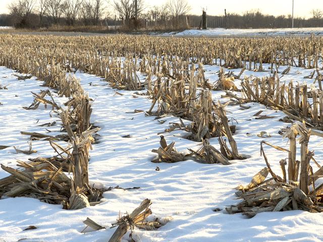Every snowfall can deposit nitrogen in farm fields, though the exact amount can vary by region and the type of snow. (DTN photo by Jason Jenkins)