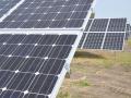 Solar panels from an Indiana solar operation. Farm groups and others have filed a lawsuit against USDA for tightening limits for grants and loan guarantees for solar projects under the Rural Energy for America Program (REAP). USDA cited an executive order by President Trump last year to essentially freeze the program and halt funding for most solar array projects on farms. (DTN file photo by Chris Clayton)