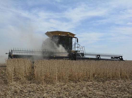 An Iowa farmer harvesting soybeans. Farmers in the middle of harvest finally saw some positive news on the trade front with the Trump administration and Chinese officials saying they reached a framework that will address agricultural exports, among other major issues between the two countries. (DTN file photo)