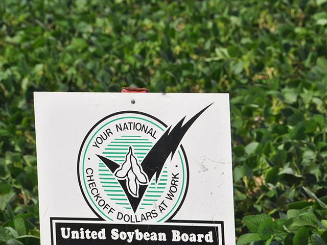 A soybean field in Pennsylvania with a checkoff promotion sign. Groups have been pressing the Trump administration to examine and shut down the national checkoff programs, which do not use taxpayer dollars but fees from producers. (DTN file photo)