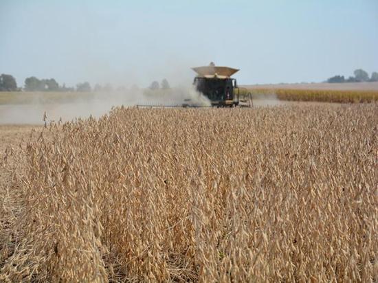 The Foreign Agricultural Service office in Beijing, China, issued a new report looking at oilseed production and demand in China. The analysis hedges on whether China will buy soybeans from the U.S. in the first half of the 2025-26 marketing year. (DTN file photo) 