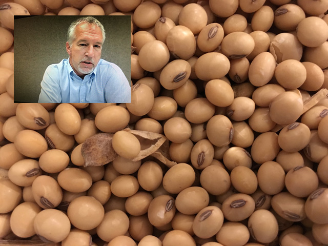 Randy Mittelstaedt, head of RJO Market Insights for R.J. O&#039;Brien and Associates, said Wednesday USDA could still increase soybean exports for the marketing year, but the low projected ending stocks for soybeans also could translate into significantly higher U.S. soybean imports. (DTN image from webinar) 