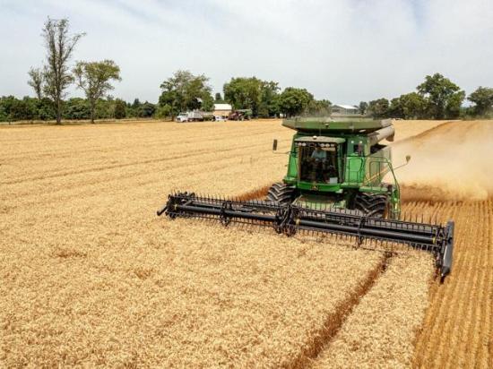 : U.S. wheat farmers who entered the 2025 National Wheat Yield Contest demonstrated their production prowess by growing high-yielding grain. (DTN photo by Jason Jenkins)