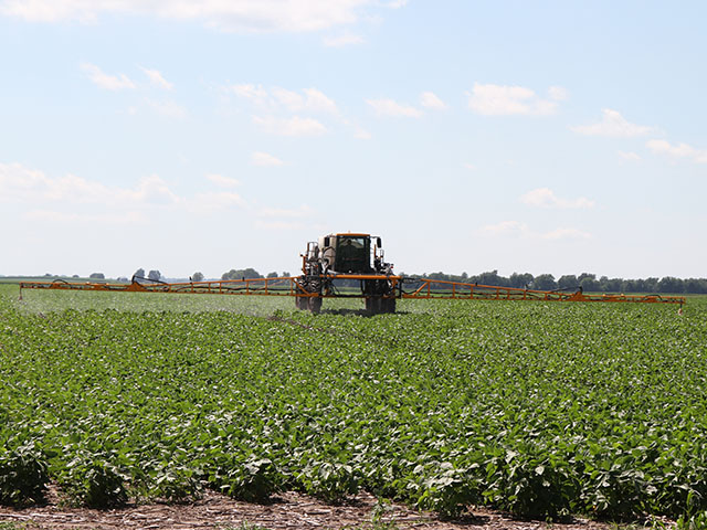 A federal mandate ending three OTT dicamba herbicide registrations will stay in place after the court denied a motion by BASF to stay and recall the mandate. (DTN file photo by Pamela Smith)