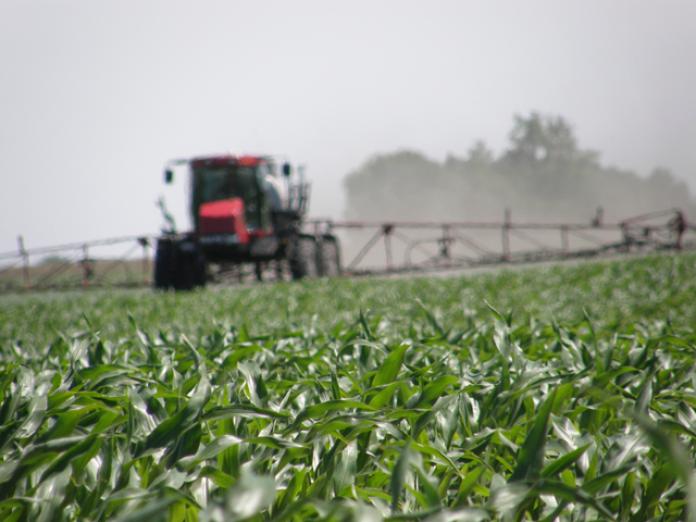 Bayer's Future Five-Way Herbicide-Tolerant Corn Under Review ...
