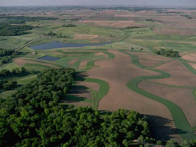 A survey found that only one in five soybean growers could meet the proposed EPA requirements for herbicide use with the practices they currently had in place on the farm. (Photo courtesy of USDA)