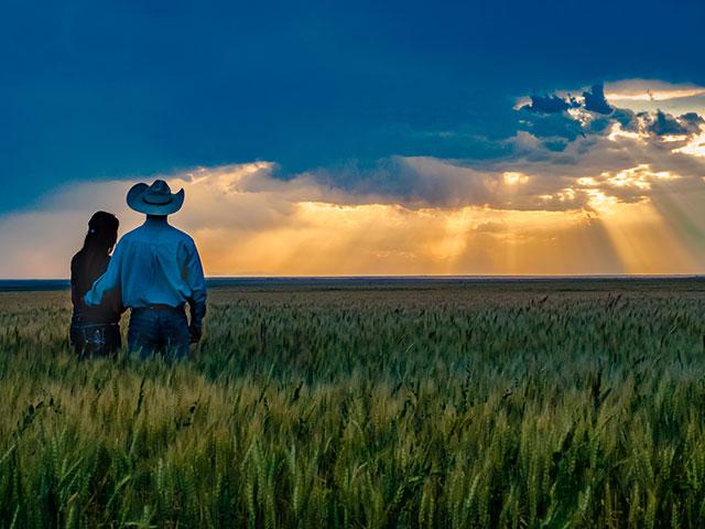 Business entities, including LLCs, will soon be required to report the names of beneficial owners under the entity. (DTN/Progressive Farmer File photo by Rob Lagerstrom)