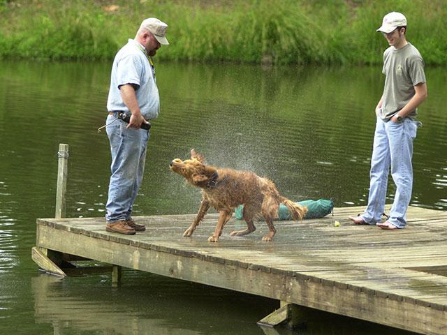 In many parts of the country, farm ponds are a common source of water for cattle, as well as recreation for landowners. (DTN/Progressive Farmer file photo by Vann Cleveland)