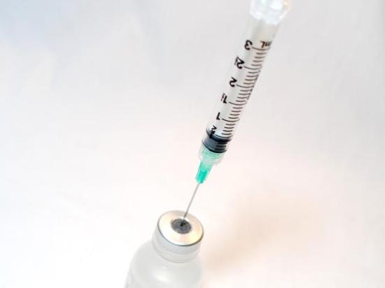Medgene, with the support of a grant from the Foundation for Food &amp; Agriculture Research, is working on a cattle vaccine for New World screwworm. (Photo by NIAID (CC-BY-2.0))