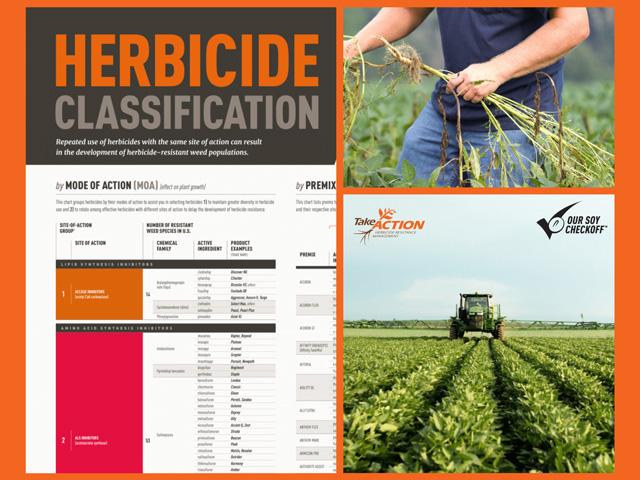 This Herbicide Classification chart helps identify the ingredients behind trade names and assists in planning weed control tactics. (Illustration courtesy of Emily Unglesbee/GROW)