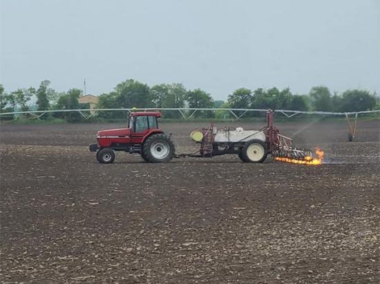 Flaming is a form of organic weed control used by DTN View From the Cab farmer Tyler Rath, of Belgrade, Minnesota. (DTN photo courtesy of Tyler Rath)