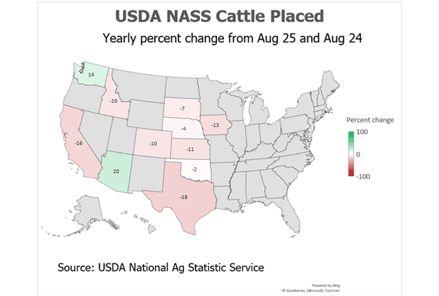 This chart shows state-by-state changes in cattle placements in feedlots during August 2025 compared to August 2024. (Source: USDA; map by Kathy Myers)