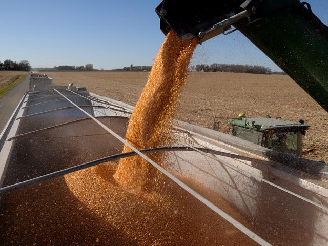 CHS Inc. officially closed on the purchase of a cooperative in Ulen, Minnesota, on Thursday, Jan. 2. (DTN file photo)