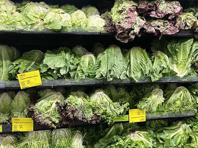 Lettuce sits on a grocery store shelf. After a summer of diarrhea and consumer confusion, the U.S. Food and Drug Administration, which oversees produce safety, is promising changes in its communication and pathogen surveillance. (DTN photo by Jake Zajkowski)