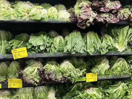 Lettuce sits on a grocery store shelf. After a summer of diarrhea and consumer confusion, the U.S. Food and Drug Administration, which oversees produce safety, is promising changes in its communication and pathogen surveillance. (DTN photo by Jake Zajkowski)
