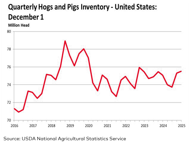 U.S. inventory of all hogs and pigs on Dec. 1, 2025, was 75.5 million head, up 1% from Dec. 1, 2024, USDA NASS reported on Tuesday. (Chart courtesy of USDA National Agricultural Statistics Service)