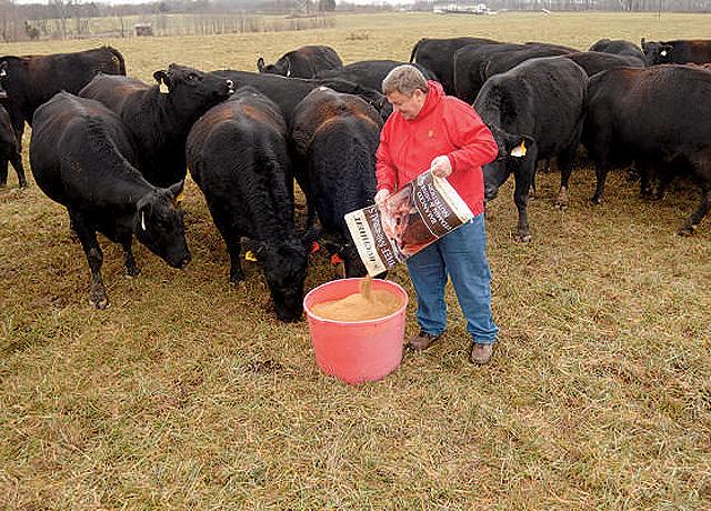 Setting up the right mineral program for a beef herd starts with the basics. (DTN/Progressive Farmer file photo by Becky Mills)