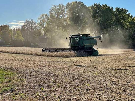 Harvest continues in Ontario. With the U.S. government shutdown, we have few new USDA numbers, but futures spreads and basis give a few clues. The lower Canadian dollar is helping, too. (DTN photo courtesy of Philip Shaw) 