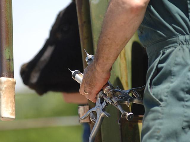 The United States faces a growing shortage of rural veterinarians who treat livestock. The American Veterinary Medical Association (AVMA) is championing an expansion of a USDA student loan repayment program and an exemption that would exclude those repayments from taxes. (DTN/The Progressive Farmer file photo by Jim Patrico)