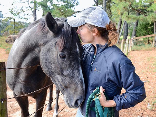 In some cases, haylage may cause bloating and other issues in horses. (DTN/Progressive Farmer file photo by Brent Warren)