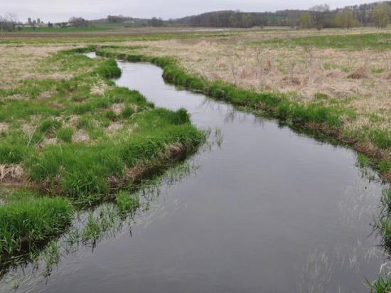 Environmental groups asked a federal court on Wednesday to require the U.S. Environmental Protection Agency to set water-quality standards for atrazine. (DTN file photo by Chris Clayton)