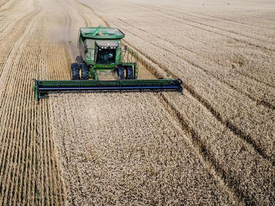 A farmer harvesting wheat earlier this summer. High diesel prices sparked the Trump administration to announce a new $8 billion aid program for farmers. Some groups praised the president for the aid, while calling for long-term policy changes. Other groups criticized the administration's policies for driving up fuel prices. (DTN file photo by EllaMae Reiff)