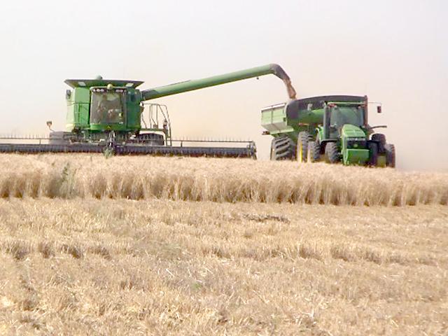 Senators are making the case to USDA that wheat farmers have taken enough losses in income because of COVID-19 and should be eligible for aid under CARES Act funding. USDA has paid out about $9.4 billion in disaster aid, but only about 30% of wheat production is eligible for aid. (DTN file photo) 