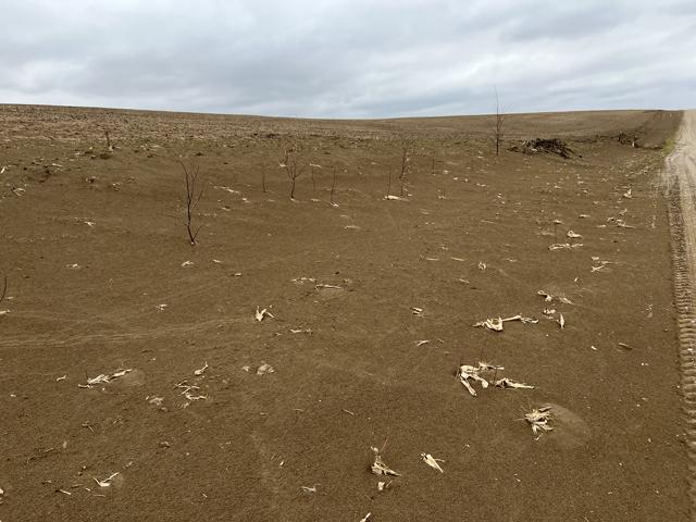 Soil has blown into the roadside ditch after a wildfire burned near Lyons, Nebraska. After fires, farmers face losing topsoil without crop residue present. (DTN photo by Russ Quinn)