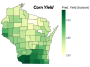 Lafayette County in southwestern Wisconsin is projected to have the highest county average in Wisconsin at 233.2 bushels per acre. The darkest green shades represent 210-bpa yields or higher, while the lightest green shades represent 150-bpa yields. (DTN map by Scott Williams)