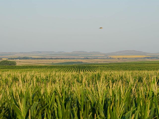 An upcoming land auction will feature 5,508 acres of productive farmland and recreational land located in south-central South Dakota. (Photo courtesy of Hall and Hall Auctions)