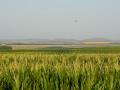 An upcoming land auction will feature 5,508 acres of productive farmland and recreational land located in south-central South Dakota. (Photo courtesy of Hall and Hall Auctions)