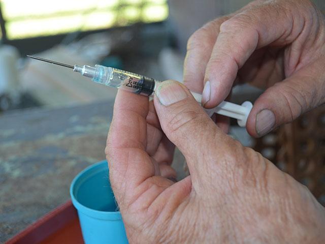 Those who work with livestock need to remember to be careful around needles when giving injections. Needlestick injuries are common but often not reported. (DTN file photo)