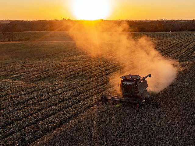 A federal court in Michigan is considering a potential jail sentence for a Springport, Michigan, farmer. (DTN file photo by Jason Jenkins)