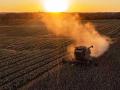 A federal court in Michigan is considering a potential jail sentence for a Springport, Michigan, farmer. (DTN file photo by Jason Jenkins)
