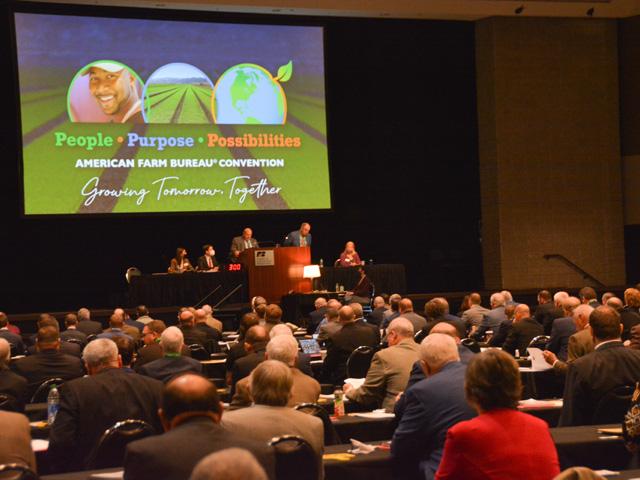 Meeting in Atlanta, delegates for the American Farm Bureau Federation focused a lot of their attention on livestock marketing policies, but they also passed measures to support increasing prices for the commodity title safety net. (DTN photo by Chris Clayton)