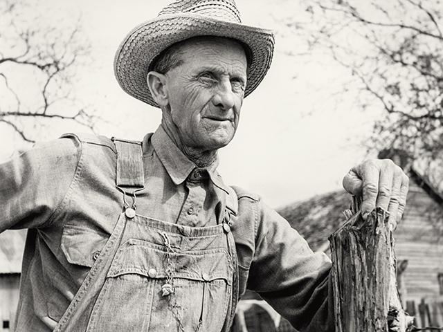 (Progressive Farmer Archives, 1952)