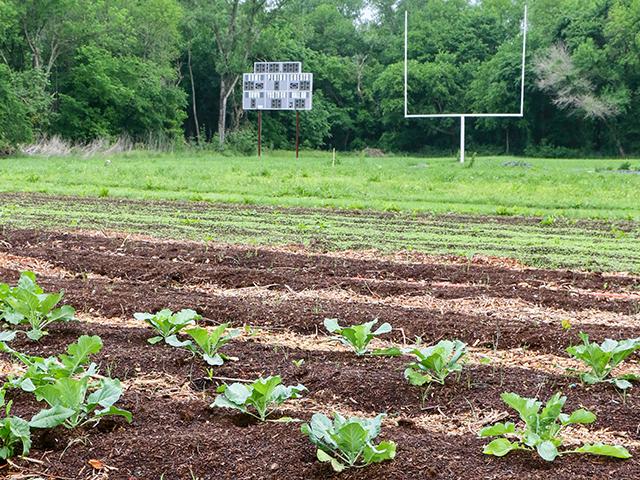 Dallas-based Paul Quinn College may still have goalposts and a scoreboard, but the football is gone in favor of a community garden. (Des Keller)