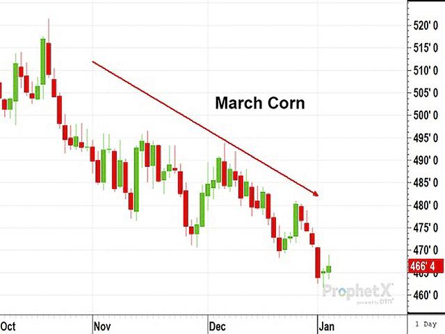 Following a record harvest in 2023, March corn prices have been chopping lower in November and December, weighed down by the anticipation of higher corn supplies in 2024 and the bearish bias of trend-line new-crop estimates. (DTN)