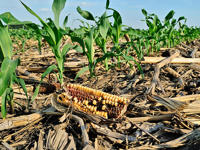 Agriculture&#039;s biggest opportunity to reduce emissions is through soil management. (DTN file photo by Jim Patrico)