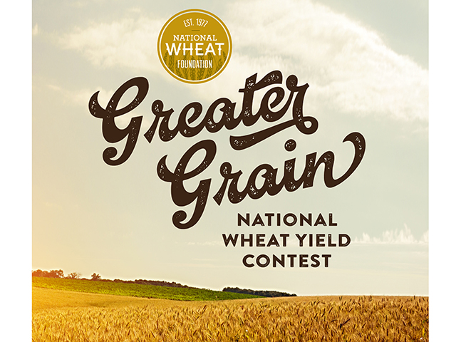 Next year&#039;s national wheat yield winners could receive $500 cash rewards if their wheat samples hit certain industry quality standards, thanks to changes in the 2022 National Wheat Yield Contest. (DTN file image) 