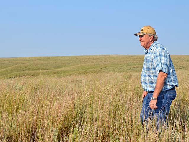 After more than 47 years of burning, Ed Koger has noticed better weaning weights and faster breedback for his 1,100-head Angus cow herd. The Hashknife Ranch also hosts up to 1,500 yearlings each year to eat the invigorated prairie grasses. (DTN/Progressive Farmer photo by Dan Crummett)