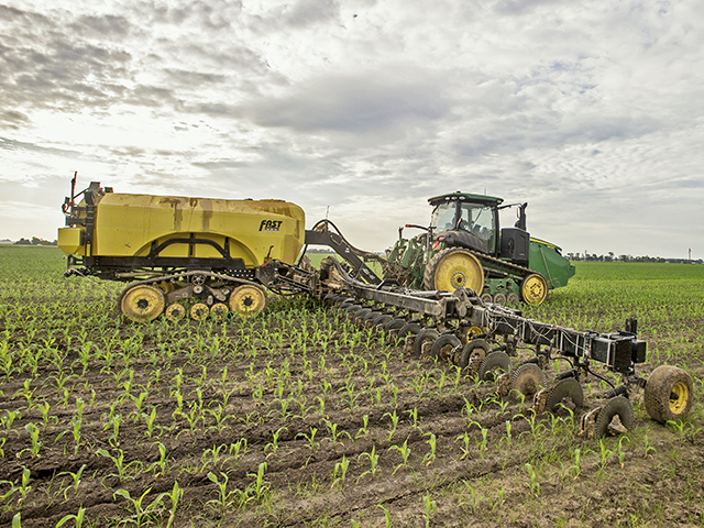 A narrow-row corn crop gets hungry, and Wallis Farms uses sidedressing to meet the yield goals of each field. (Progressive Farmer photo by Mary Ann Carter)