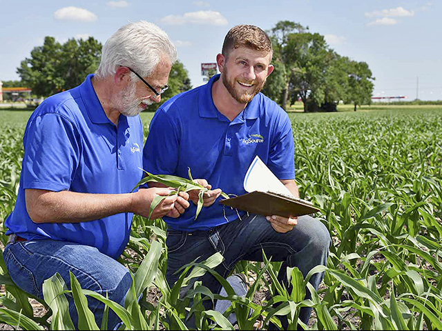 Jim Friedericks (left) and Casey Robinson, of VAS AgSource Laboratories, take corn tissue samples to determine the crop&#039;s nutrient needs. (Submitted by VAS AgSource Laboratories)