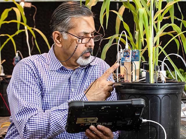 Raj Khosla inspects a prototype soil sensor in a lab at the university.