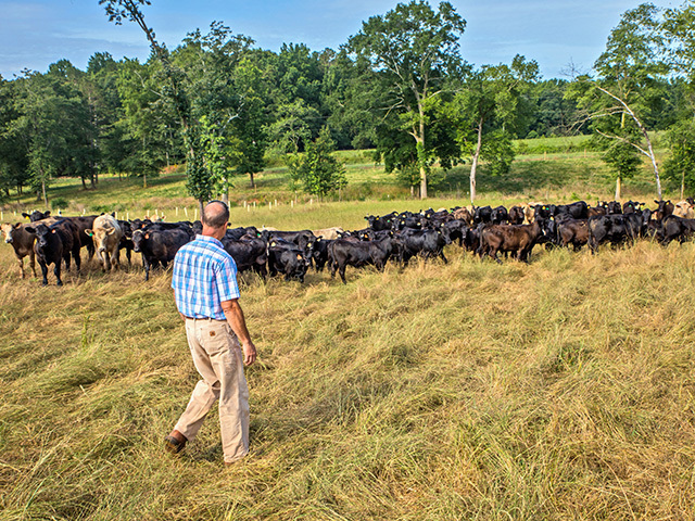 Terry Chandler found that as production rose on his Georgia farm, soil fertility and pasture carrying capacity also improved. (Progressive Farmer image by Matt Odom)