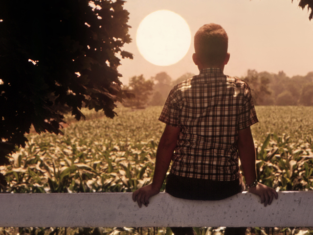 Sunset Over the Corn Field (Jack Goodson, Progressive Farmer Archives, 1966)
